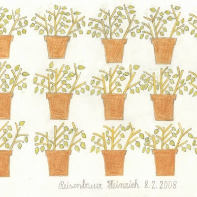 Blumentöpfe / Flower Pots