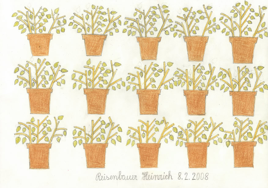 reisenbauer heinrich - Blumentöpfe / Flower Pots